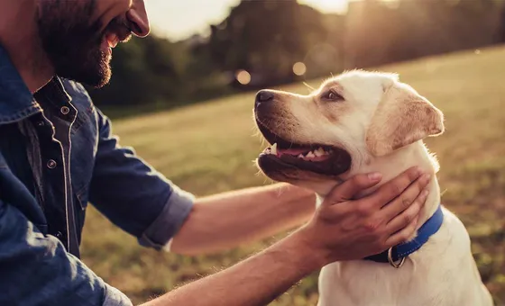Tutor com seu cachorro