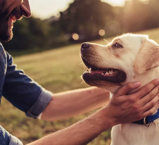 Tutor com seu cachorro