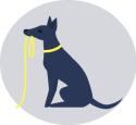 ilustration3